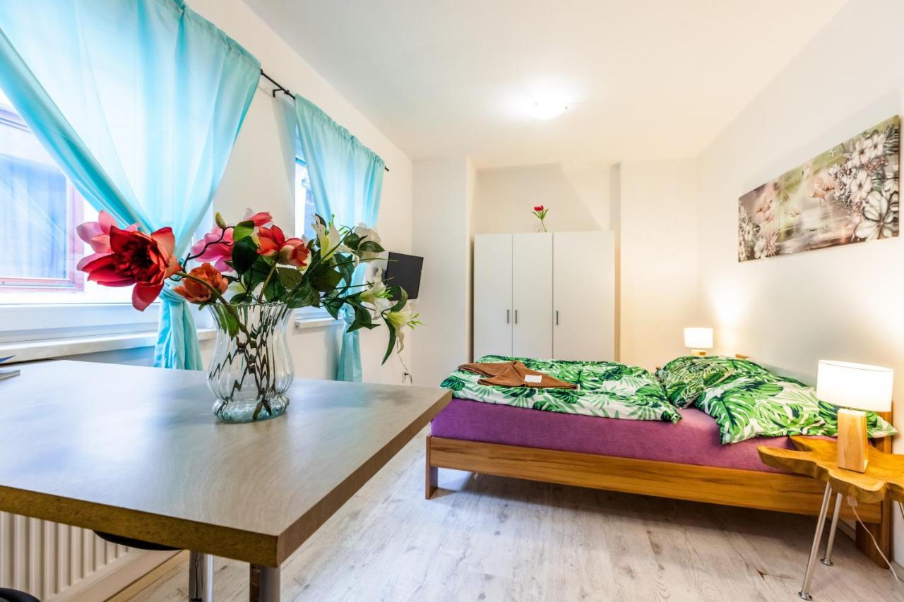 Apartia Krenova 31, Brno-Center Kültér fotó