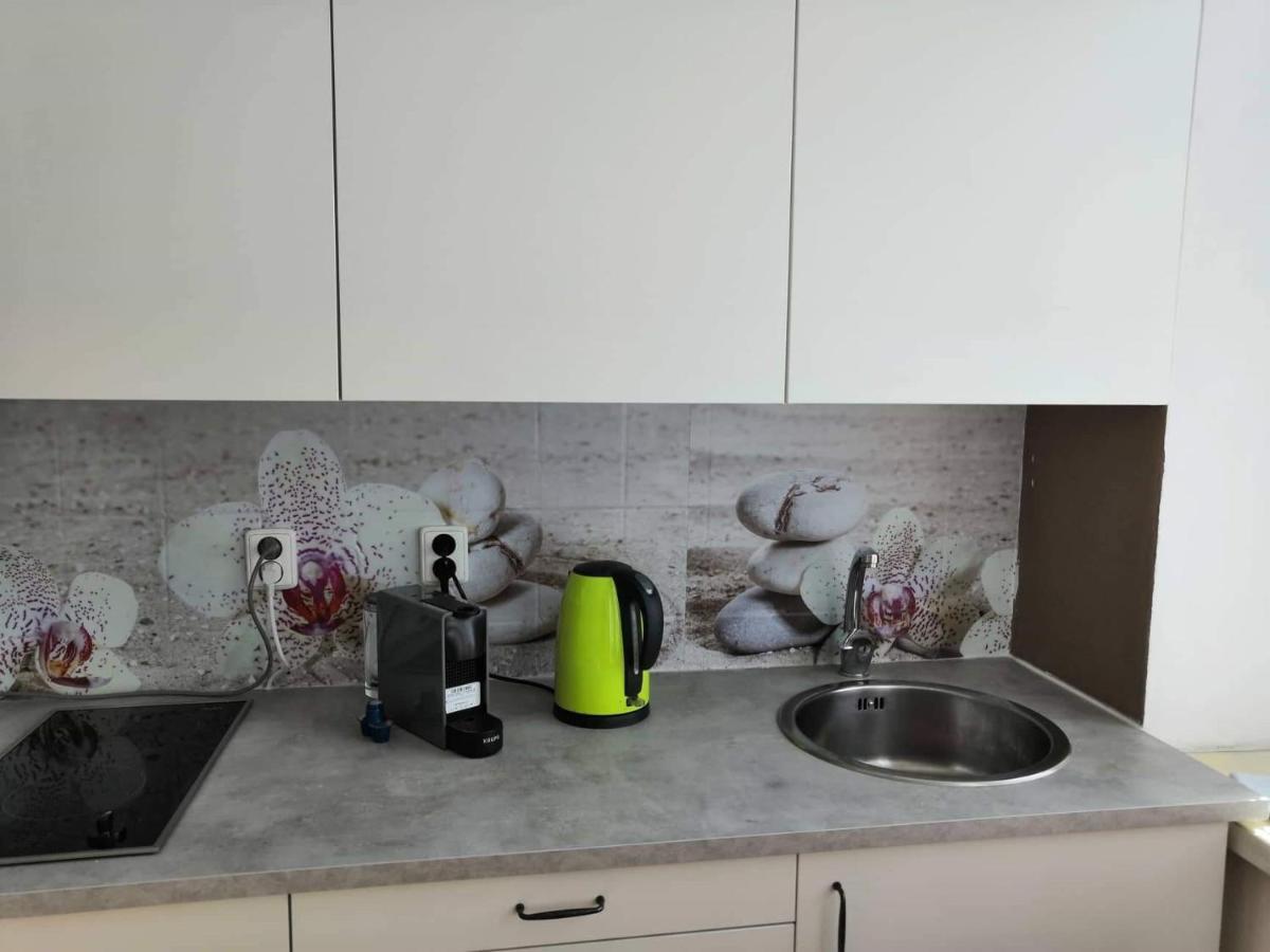 Apartia Krenova 31, Brno-Center Kültér fotó